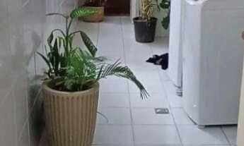 Imagem 7: Apartamento Clássico Amplo 3 suites e dependência completa - Gonzaga - Santos/SP