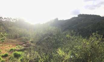 Imagem 3: Ótimo Terreno À Venda - Melgaço, Domingos Martins-ES