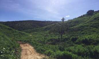Imagem 7: 1 dormitório, 1 banheiros, 1 vaga na garagem, 113M² de Área Total