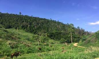 Imagem 3: 1 dormitório, 1 banheiros, 1 vaga na garagem, 113M² de Área Total