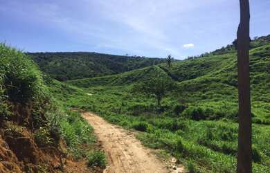 Imagem 10: FAZENDA RURAL em COLATINA - ES, ÁREA RURAL DE COLATINA