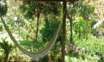 Imagem 6: 2 dormitórios, 1 suítes, 3 vagas na garagem, 2900M² de Área Construída, 2900M² de Área Tot