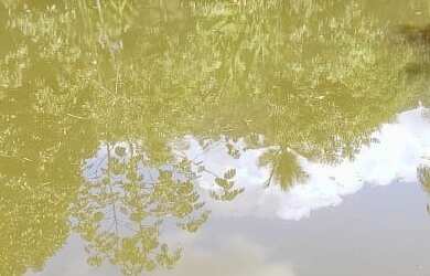 Imagem 6: 2 dormitórios, 2 banheiro, 1 vaga na garagem, 45M² de Área Total