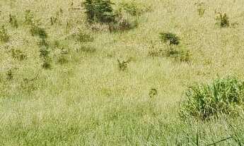 Imagem: 2 dormitórios, 2 banheiro, 1 vaga na garagem