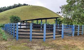 Imagem 5: 1 dormitório, 1 banheiros, 42M² de Área Total