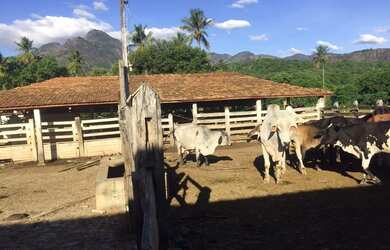 Imagem 3: 2 dormitórios, 2 banheiro, 113M² de Área Total
