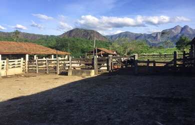 Imagem 2: 2 dormitórios, 2 banheiro, 113M² de Área Total