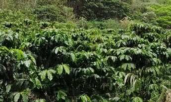 Imagem 6: 1 dormitório, 1 banheiros, 1 vaga na garagem, 210M² de Área Total