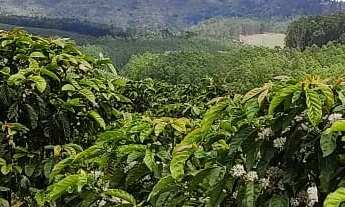 Imagem 3: 1 dormitório, 1 banheiros, 1 vaga na garagem, 210M² de Área Total