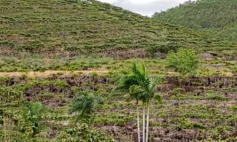 Imagem 5: 1 dormitório, 1 banheiros, 1 vaga na garagem, 210M² de Área Total