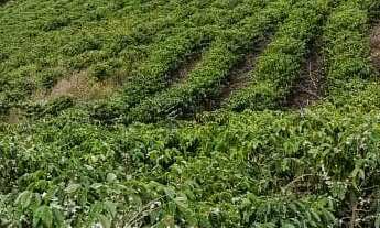 Imagem: 1 dormitório, 1 banheiros, 1 vaga na garagem