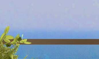 Imagem 3: 4 dormitórios na Rua 1910