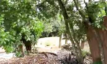 Imagem: 975M² de Área Total na Avenida Pietrângelo