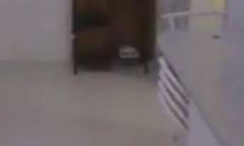 Imagem 6: APARTAMENTO NO CENTRO DE GUARAPARI PRONTO PARA MORAR