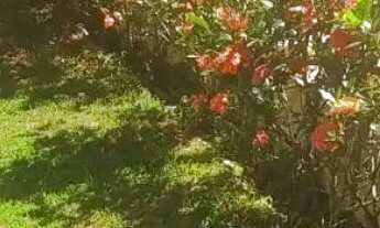 Imagem: ÓTIMA CASA EM SETIBA / GUARAPARI - ES