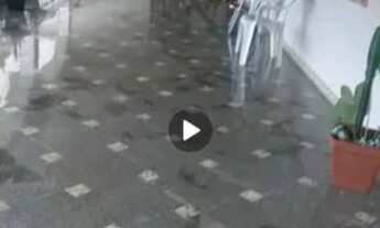 Imagem 4: MARAVILHOSA CASA COM 5 QUARTOS EM PIÚMA / ES