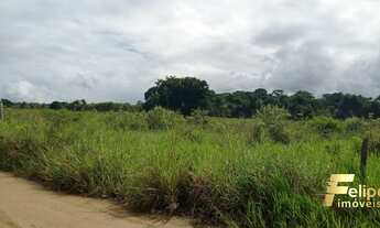 Imagem: ÁREA COM 3.2 ALQUEIRES EM BRAÇO DO RIO