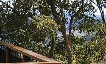 Imagem 3: MANSÃO COM VISTA PARA AS MONTANHAS DE GUARAPARI