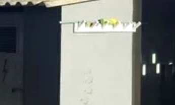 Imagem 6: Aluguel de galpão com 4000m2 frente em rodovia estruturado