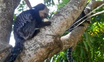 Imagem 4: CASA EM CONDOMÍNIO FECHADO COM 4 QUARTOS EM VILLAGE DO SOL