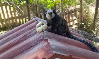 Imagem 2: CASA EM CONDOMÍNIO FECHADO COM 4 QUARTOS EM VILLAGE DO SOL