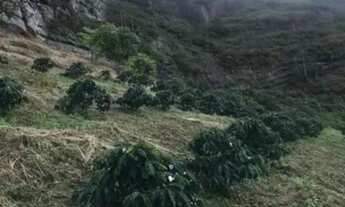 Imagem 2: Excelente propriedade nas montanhas em mata fria de Conceição do Castelo