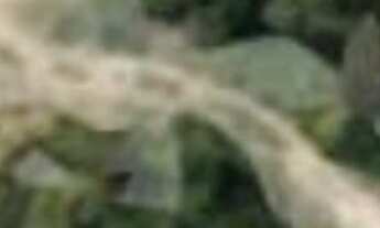 Imagem: OPORTUNIDADE DE TERRENO COM 3000M² EM ÓTIMA