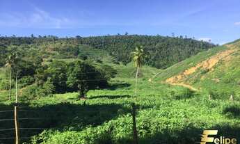 Imagem: FAZENDA PRÓXIMO A COLATINA / REGIÃO NOROESTE