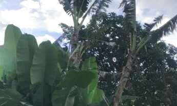 Imagem 6: Excelente propriedade nas montanhas em mata fria de Conceição do Castelo