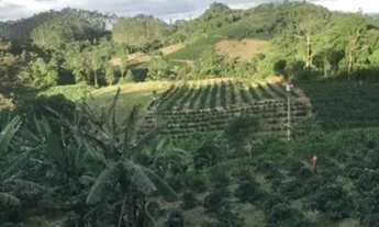 Imagem: Excelente propriedade nas montanhas em mata