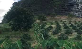 Imagem 5: Excelente propriedade nas montanhas em mata fria de Conceição do Castelo