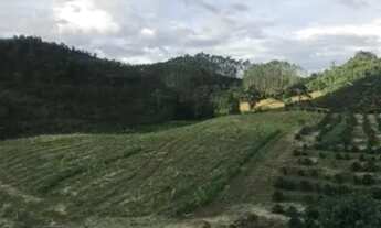 Imagem 4: Excelente propriedade nas montanhas em mata fria de Conceição do Castelo