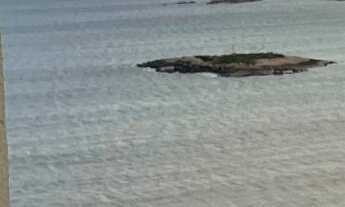 Imagem 3: COBERTURA LINEAR NA MATA DA PRAIA / VITÓRIA - ES