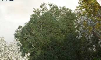 Imagem 2: LANÇAMENTO DO RZ 25 RESIDENCIAL CLUB EM JARDIM CAMBURI / VITÓRIA