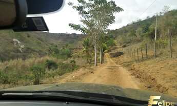 Imagem 7: Sítio em Colatina à venda!