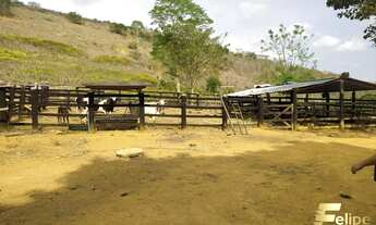 Imagem 4: Sítio em Colatina à venda!