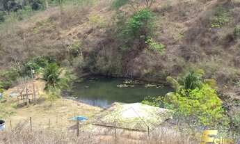 Imagem: Sítio em Colatina à venda!