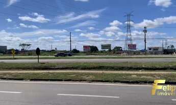 Imagem: TERRENO COM 15.600M² FRENTE A BR 101 /