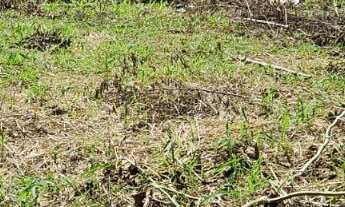 Imagem 3: OPORTUNIDADE DE LOTE COM O MELHOR PREÇO E VISTA EM GUARAPARI / ES