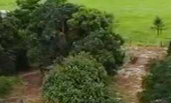 Imagem 6: FAZENDA À VENDA EM TEIXEIRA DE FREITAS / BAHIA