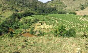Imagem 5: FAZENDA EM COLATINA (28KM DO CENTRO) / UM IMPERDÍVEL NEGÓCIO!
