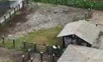 Imagem 5: FAZENDA À VENDA EM TEIXEIRA DE FREITAS / BAHIA