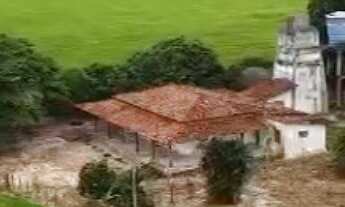 Imagem 7: FAZENDA À VENDA EM TEIXEIRA DE FREITAS / BAHIA