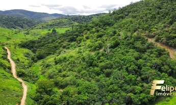 Imagem 7: FAZENDA À VENDA A 60KM DE COLATINA / ES