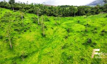 Imagem 4: FAZENDA À VENDA A 60KM DE COLATINA / ES