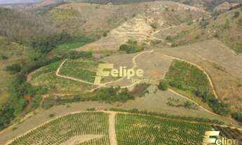 Imagem 3: FAZENDA EM COLATINA (28KM DO CENTRO) / UM IMPERDÍVEL NEGÓCIO!