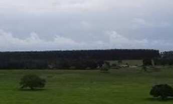 Imagem 2: FAZENDA À VENDA EM TEIXEIRA DE FREITAS / BAHIA