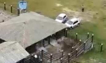 Imagem 4: FAZENDA À VENDA EM TEIXEIRA DE FREITAS / BAHIA