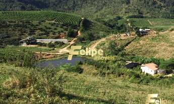 Imagem 6: FAZENDA EM COLATINA (28KM DO CENTRO) / UM IMPERDÍVEL NEGÓCIO!