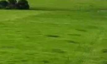 Imagem: FAZENDA À VENDA EM TEIXEIRA DE FREITAS